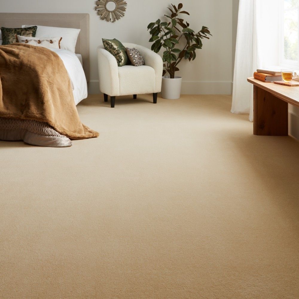 John Lewis Clarence Velvet